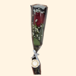 Rosa arreglada con gipso