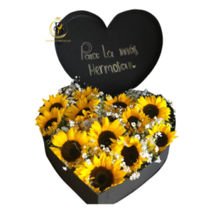 Sol en el Corazón