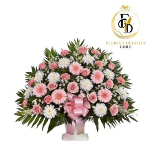 Arreglo en 12 Rosas