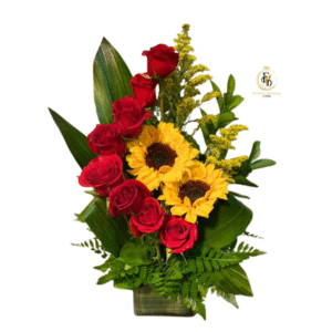 Luz y Rosas