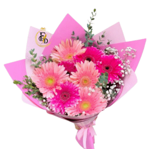 Ilusión y Gerberas.
