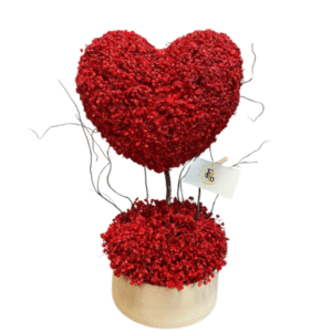 Corazón Encantado