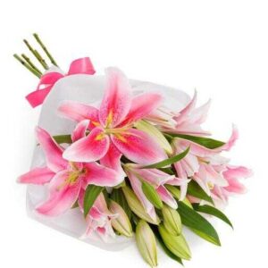 Rammo de lilium