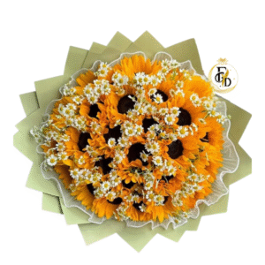 Girasoles en Primavera