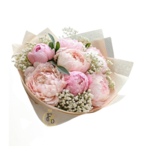 Rosa de Encanto