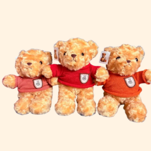 Oso Teddy Peluche