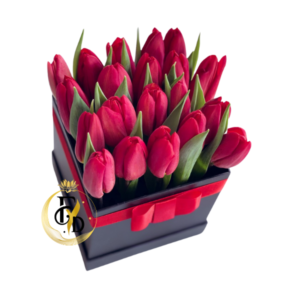 20 Tulipanes Rojos en Box