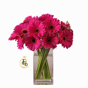 Florero de Gerberas Fucsias