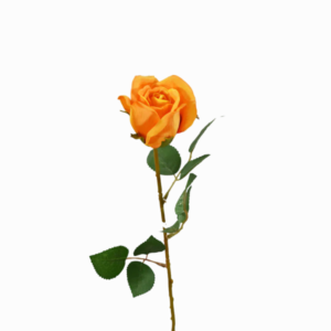 Vara de Rosa Naranja