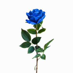 Vara Rosa Azul