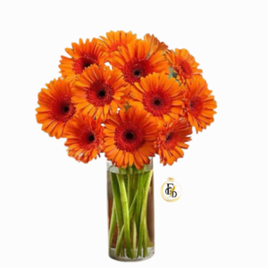 Florero de Gerberas Naranjas