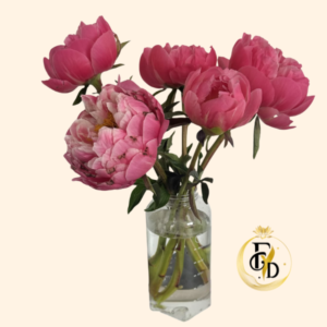 Florero con 5 Peonias Fucsias